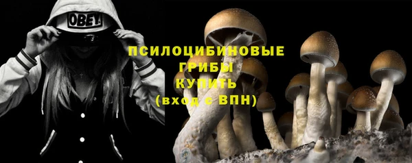 mdpv Пестово