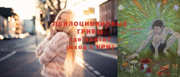 apvp Переславль-Залесский