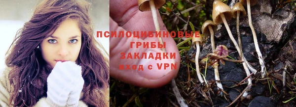 ECSTASY Пересвет
